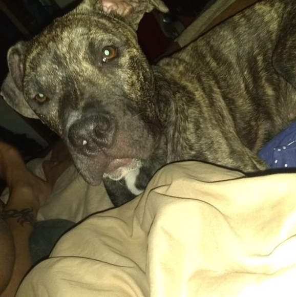 Meet your Posher, Debbie - Picture 1 of 1